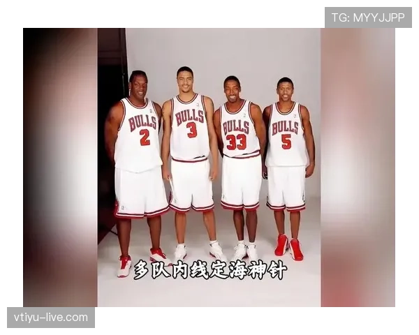 泰森·钱德勒篮下防守铁壁提升球队内线稳定性