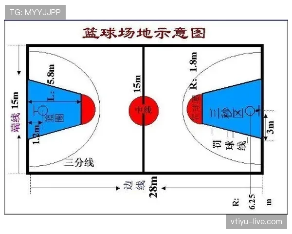 篮球规则详解：回场违例的定义与具体判罚标准